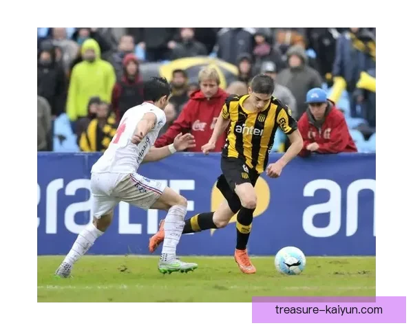 巴尔韦德职业生涯成就分析与表现回顾